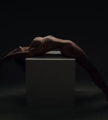 Image 2420382 from Nicodentodria