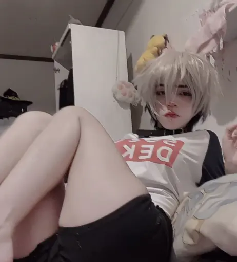 Image 24126832 from 1creppy / bingus cat / _1creepyy