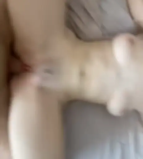 Image 2401346 from Naya Dickson