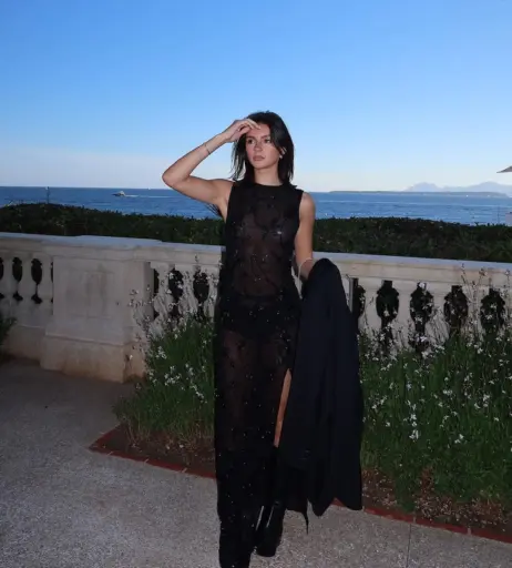 Image 2409717 from Savannah Demers