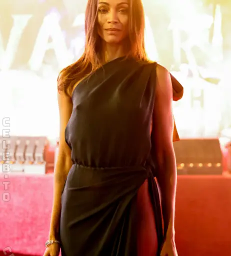 Image 25903985 from Zoe Saldana