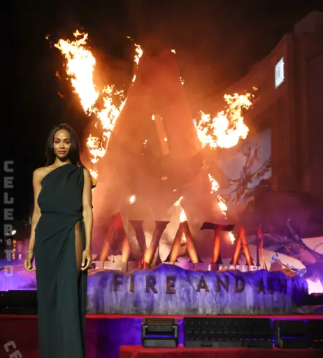 Image 25987551 from Zoe Saldana