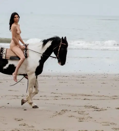 Image 25819254 from Kendall Jenner