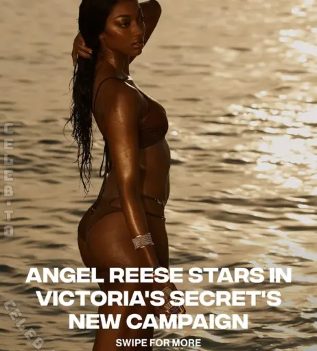 Image 25820145 from Angel Reese