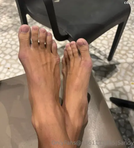 Image 2565874 from Sandylein