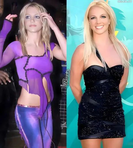 Image 25645367 from Britney Spears