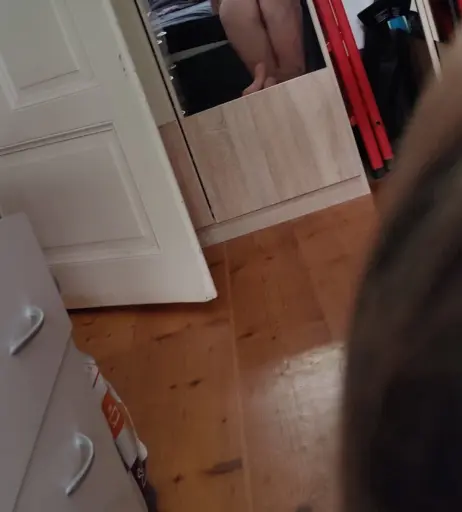 Image 2552518 from Feuerrose