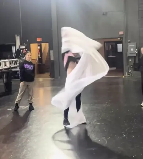 Image 2545803 from Lindsey Stirling