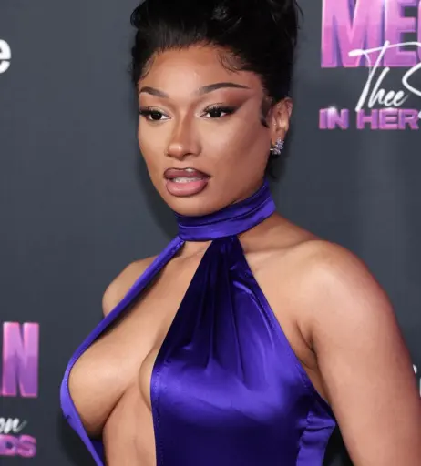 Image 2545831 from Megan thee stallion