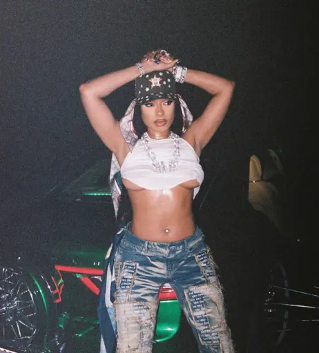 Image 2545792 from Megan thee stallion