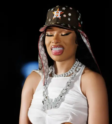 Image 2545712 from Megan thee stallion