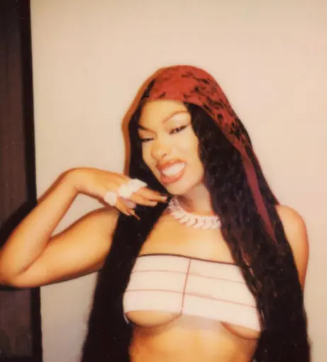 Image 2545138 from Megan thee stallion