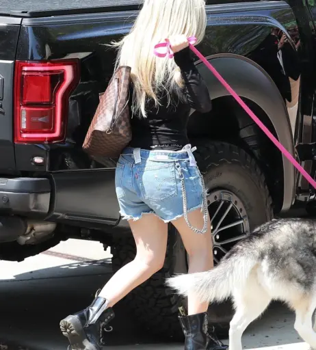 Image 2545042 from Avril Lavigne