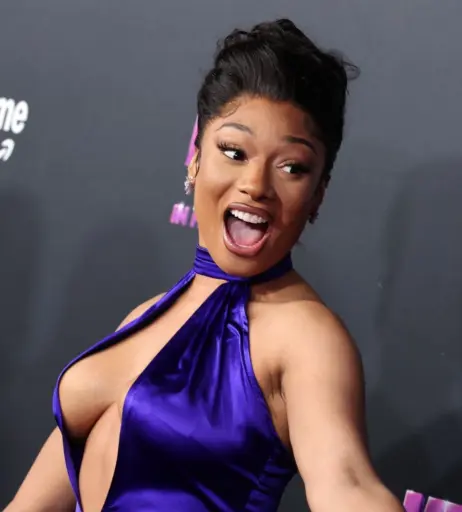 Image 2546861 from Megan thee stallion