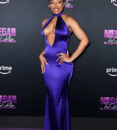 Image 2546460 from Megan thee stallion