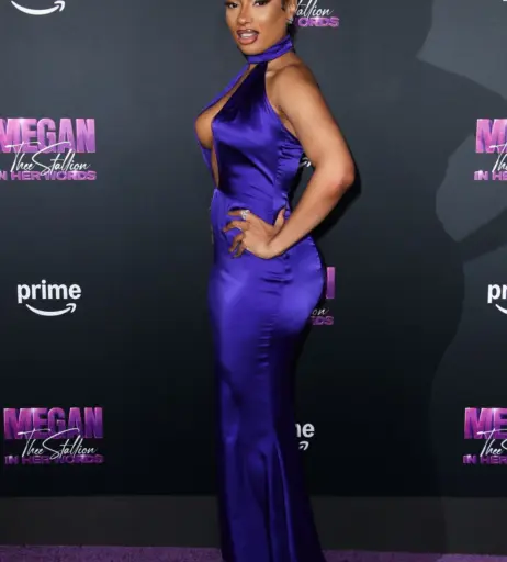 Image 2546407 from Megan thee stallion