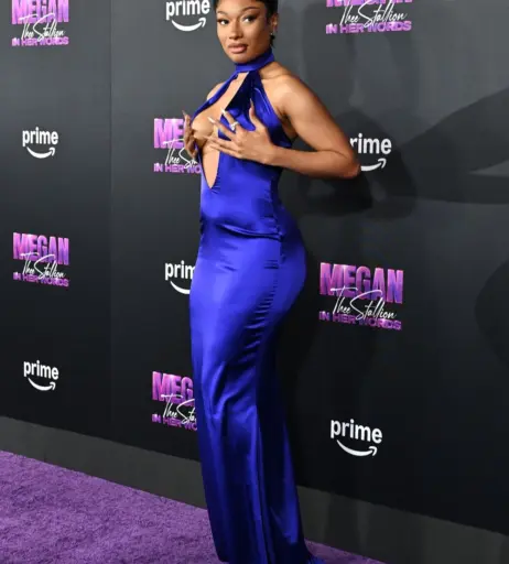 Image 2546761 from Megan thee stallion