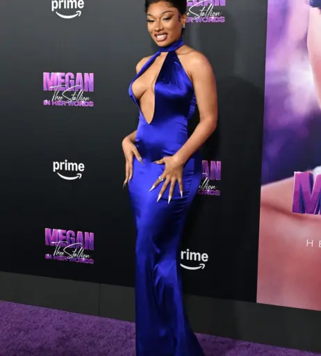 Image 2546657 from Megan thee stallion