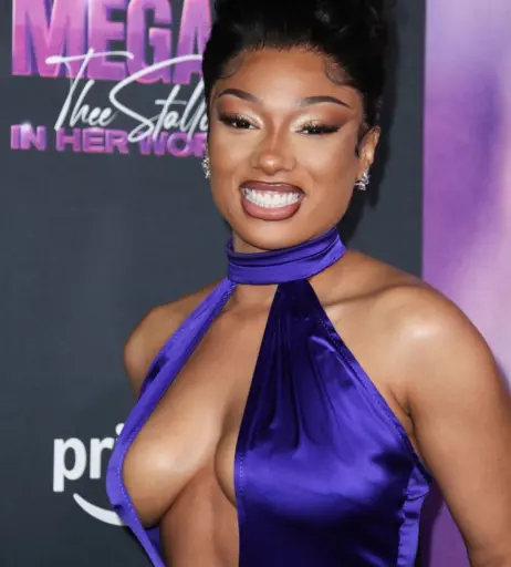 Image 2546614 from Megan thee stallion