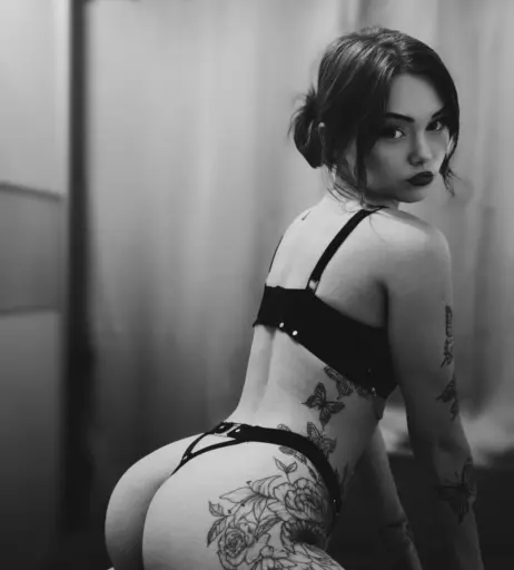 Image 2546022 from Traumwandler Allegra