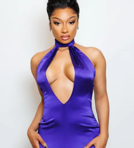 Image 2547006 from Megan thee stallion