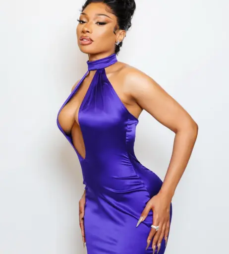 Image 2547024 from Megan thee stallion