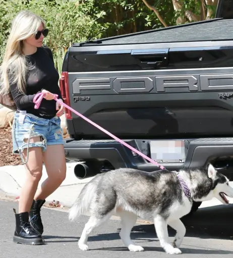 Image 2544843 from Avril Lavigne