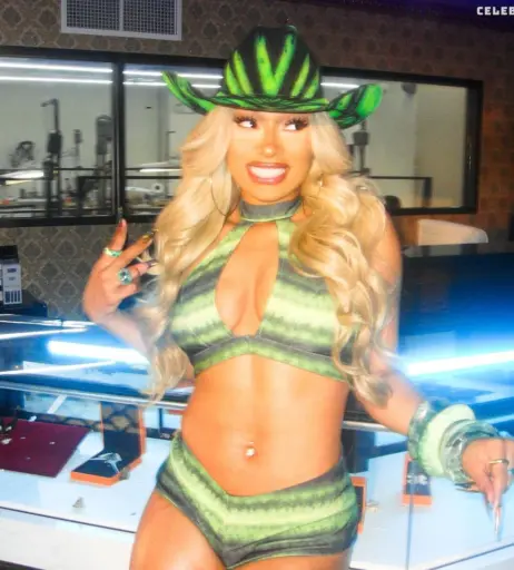 Image 2544583 from Megan thee stallion