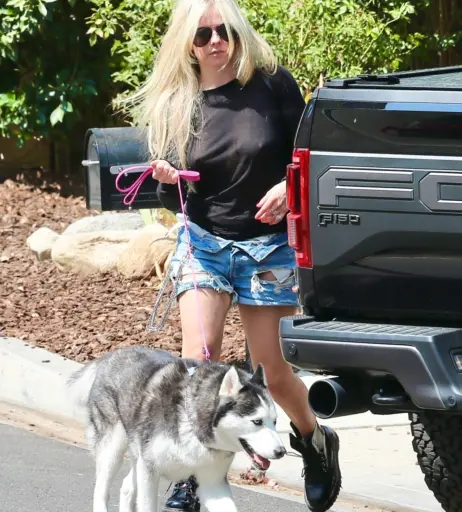 Image 2544547 from Avril Lavigne