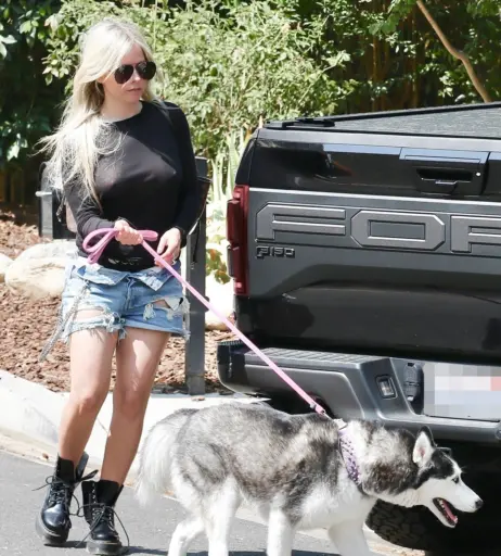 Image 2544749 from Avril Lavigne