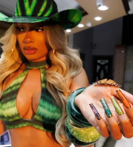 Image 2544681 from Megan thee stallion