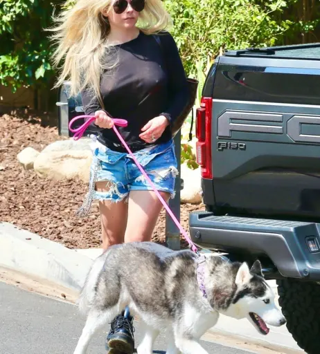 Image 2544655 from Avril Lavigne