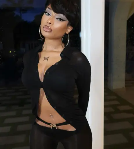 Image 2544040 from Megan thee stallion