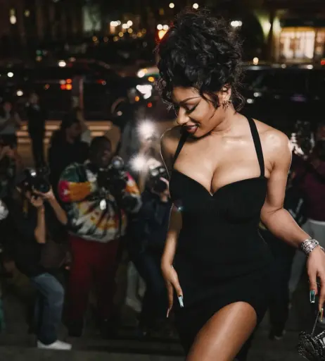 Image 2544357 from Megan thee stallion