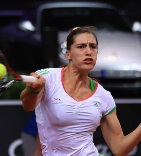 Image 2542521 from Andrea Petkovic