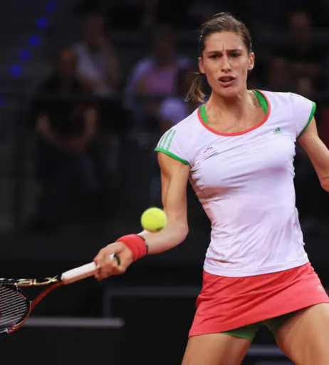 Image 2542468 from Andrea Petkovic