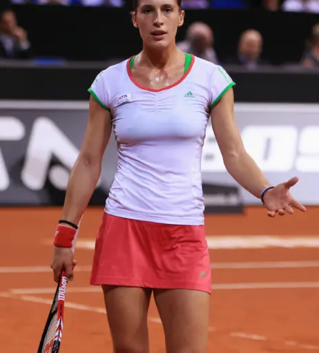 Image 2542410 from Andrea Petkovic