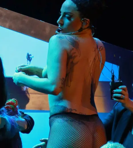 Image 2542018 from Lady Gaga