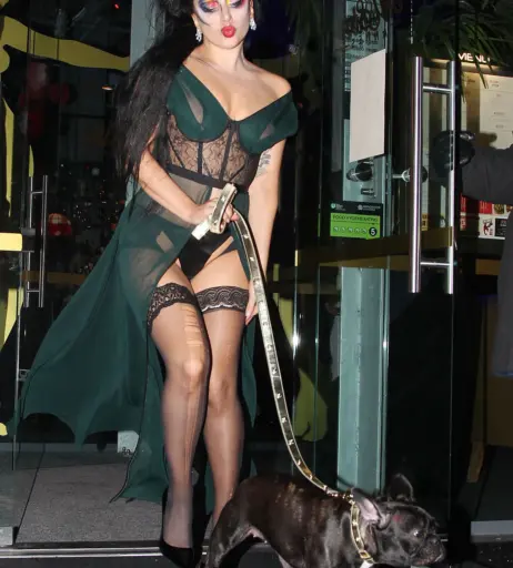 Image 2542318 from Lady Gaga