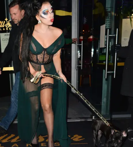 Image 2542205 from Lady Gaga