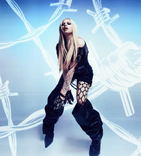 Image 2542238 from Avril Lavigne