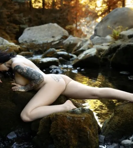 Image 2542999 from Sidney MK463165