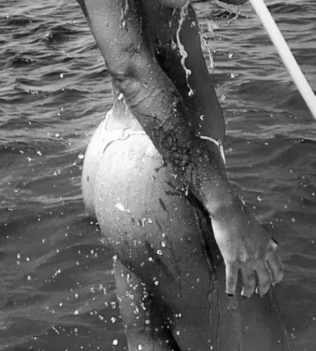 Image 2543513 from Larypoppins / Lary