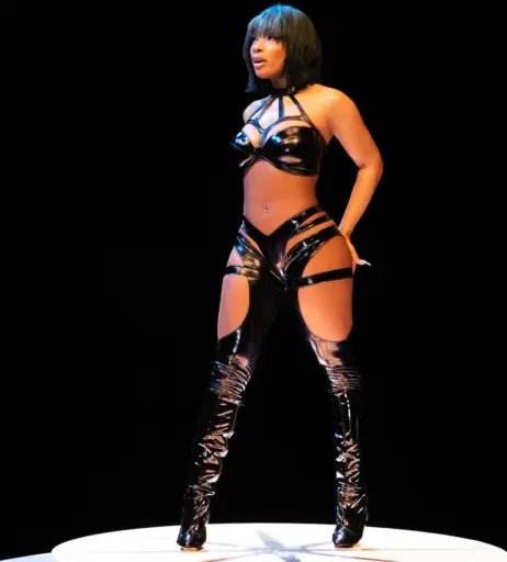 Image 2543497 from Megan thee stallion