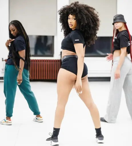 Image 2543754 from Megan thee stallion