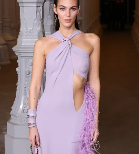 Image 2543100 from Vittoria Ceretti