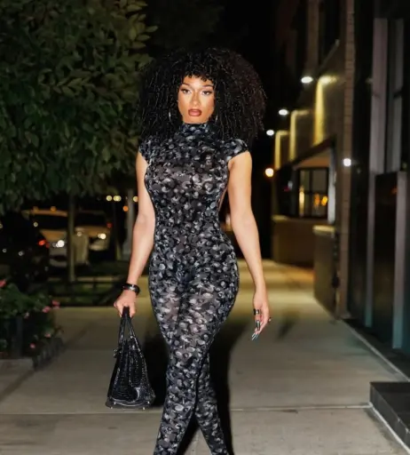 Image 2543097 from Megan thee stallion