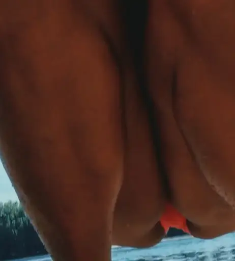 Image 2543284 from Indira Weis