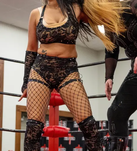 Image 25489861 from Women of Professional Wrestling