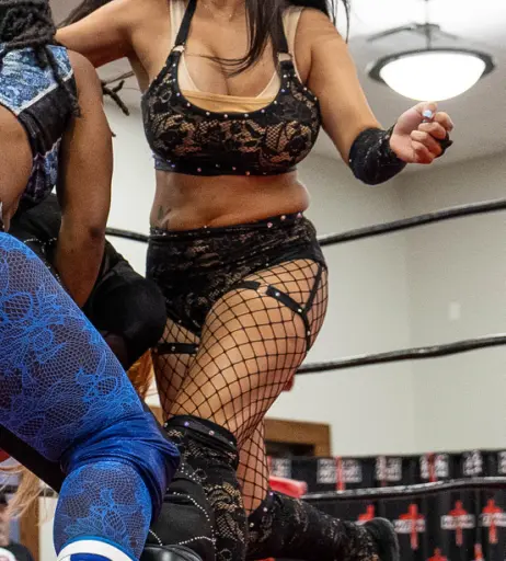 Image 25489865 from Women of Professional Wrestling